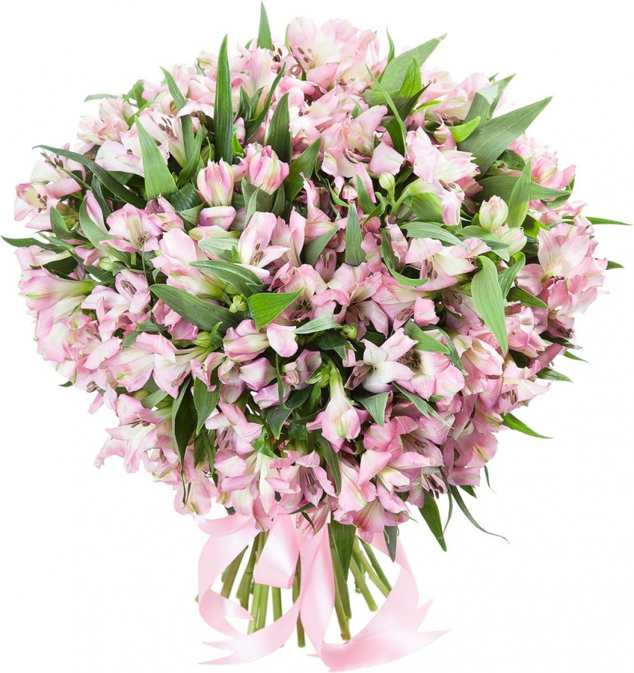 Розовые альстромерии Розовые альстромерии